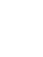 salo and salo logo